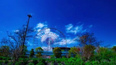 Odaiba Tokyo 'daki lunaparktaki dönme dolabın gündüz çekimleri.