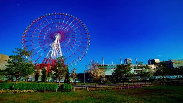Riesenrad im Vergnügungspark in Odaiba Tokio im Zeitraffer — Stockvideo