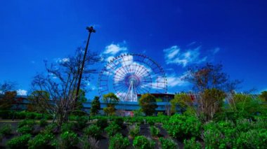Odaiba Tokyo 'daki lunaparktaki dönme dolabın gündüz çekim zamanı yakınlaştırması.