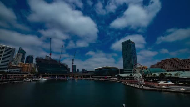 Sebuah wilayah TiLapse of Bay di Cockle Bay di Sydney miring tembakan lebar — Stok Video