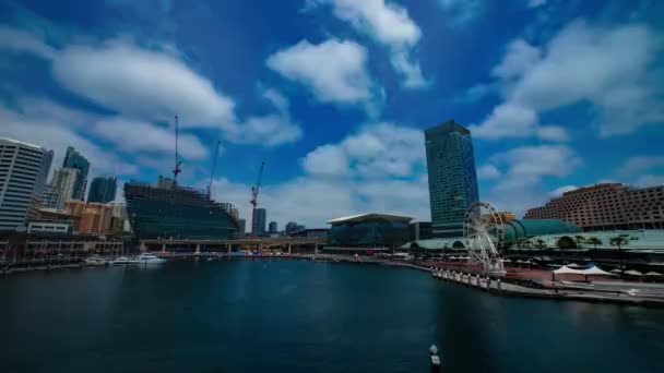 シドニーのコックベイのベイエリアのタイムラプスワイドショット — ストック動画