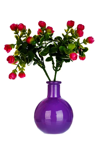 Vaso in ceramica con fiori — Foto Stock