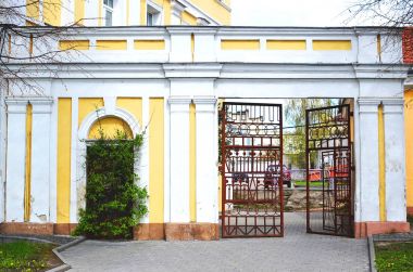 Aşırı büyümüş kapı ve eski kapısı.