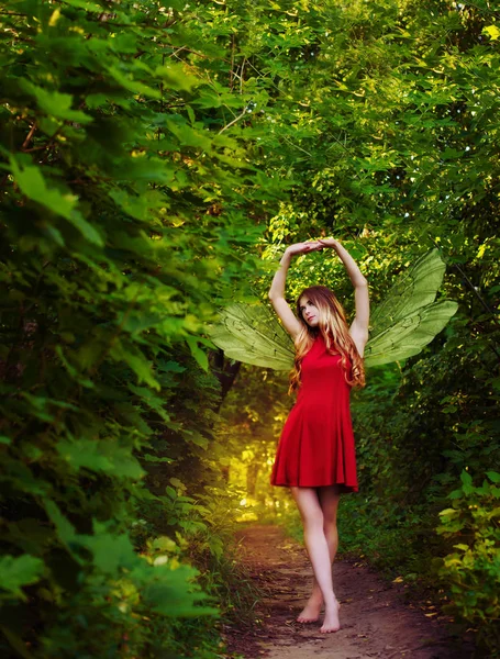 Winged Fairy Walks Forest — Stock Photo, Image