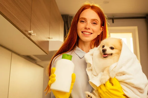 Eccitata divertente ragazza dai capelli rossi indossa guanti di gomma gialli, asciugando con un asciugamano da bagno il suo adorabile soffice spitz a casa. concetto di salute e trattamento degli animali domestici — Foto Stock