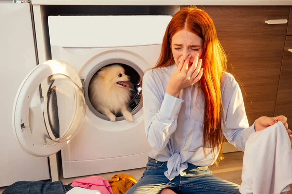 Fie, what stench Shocked excited redhaired girl wash pile of dirty smelly clothes ,her adorable fluffy spitz helpinh inside the washing machine at home — стоковое фото