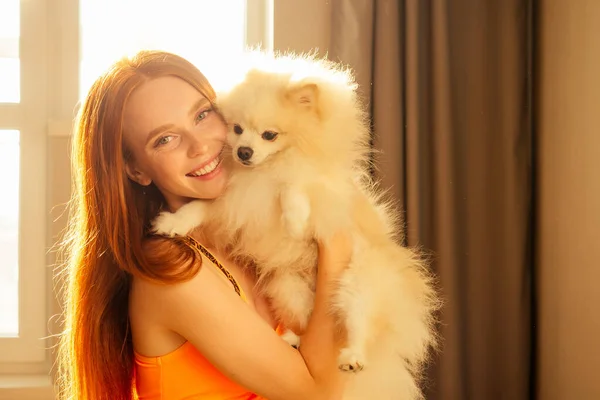 redhead girl falling in love of her fluffy spitz at home ,sun light sunset in window background