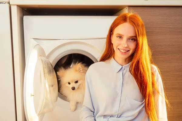 Eccitata divertente ragazza dai capelli rossi seduto accanto al suo adorabile soffice spitz all'interno della lavatrice a casa. giornata benessere per il concetto di trattamento degli animali domestici — Foto Stock