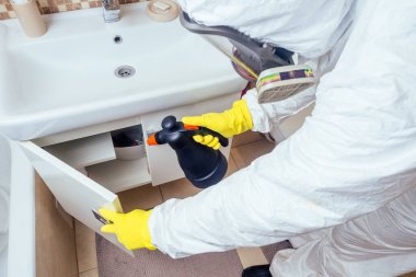 Haşere ilaçlarını banyoya püskürten haşerat kontrol işçisi tuvaleti ve duşu işliyor.