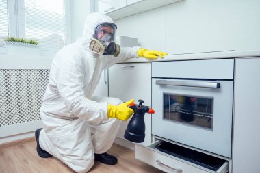 İyi bir işçi indüksiyon hob üzerine böcek ilacı sıkıyor.