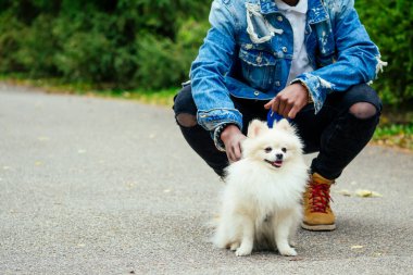 Afro-Amerikan adam pofuduk tükürüğüyle sokakta yürüyor, eğitimli köpek takımları eğitiyor.
