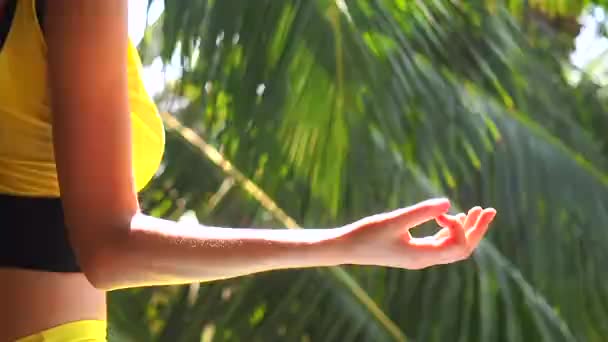 Fiatal nő csinál jóga namaste munda kéz pózol kívül természetes környezetben — Stock videók