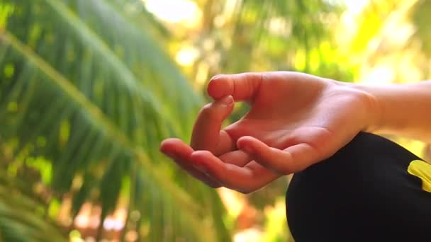 Mujer joven haciendo yoga namaste munda manos pose fuera en entorno natural — Vídeo de stock