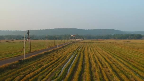 Vue aérienne un champ au coucher du soleil et des lignes électriques avec des maisons — Video