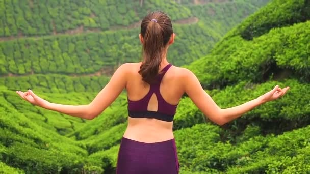 Back view of young woman doing yoga poses and breathing in tea plantation in Kerela Munnar — Stock Video