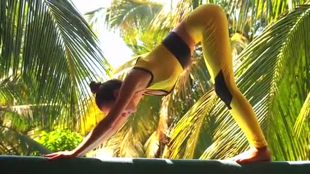 Young woman doing yoga dog face down mountain pose outside in natural environment — Stock Video