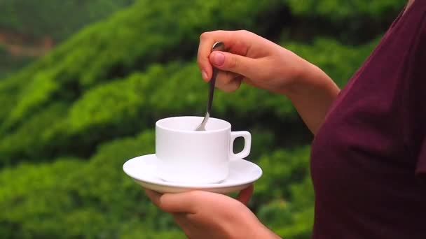 woman holding cup on plate and mixing sugar and indian masala chai with spoon in Munnar Kerala plantation