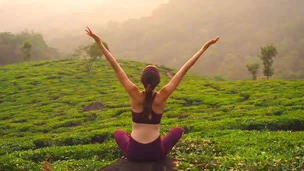 Back view of young woman doing yoga poses and breathing in tea plantation in Kerela Munnar — Stock Video