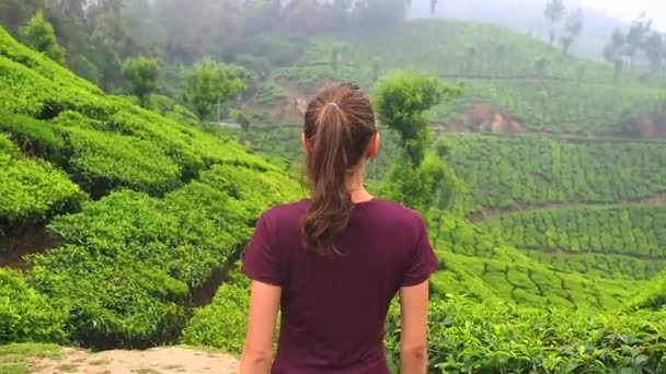 Πίσω όψη της νεαρής γυναίκας περπάτημα και την αναπνοή σε φυτεία τσαγιού σε Kerela Munnar — Αρχείο Βίντεο