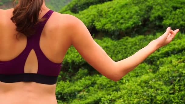 Vue arrière de jeune femme faisant des poses de yoga et respirant dans la plantation de thé à Kerela Munnar — Video