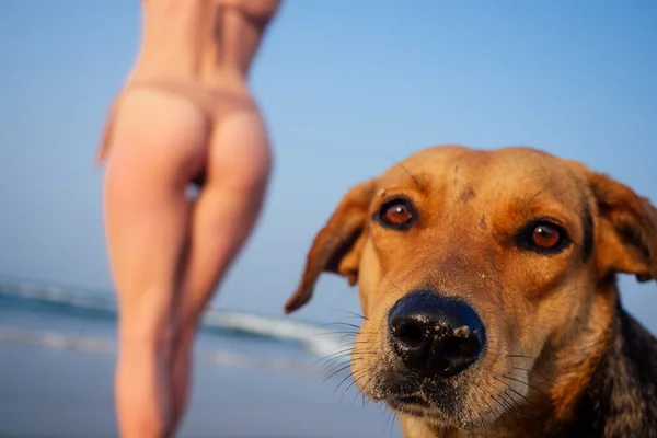 Крупным планом женская фигура на пляже и собака — стоковое фото