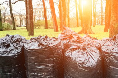 Büyük siyah çöp torbaları yeşil çimlerin üzerinde