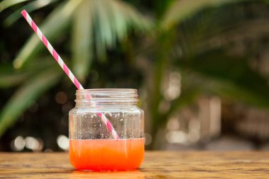 Tropikal parkta saman ekosistem kağıtlı kuyruk kavanozu