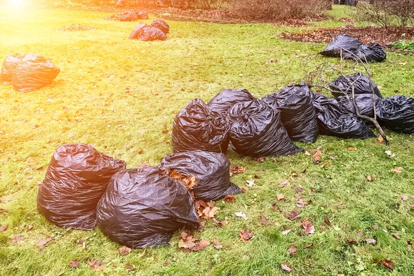 Große schwarze Müllsäcke auf dem grünen Rasen — Stockfoto