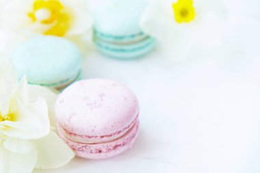 Macaron veya acıbadem kurabiyesi Fransız coockie beyaz dokulu arka plan bahar ile lila çiçekler, pastel renkler. 