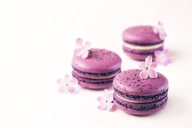 Macaron veya acıbadem kurabiyesi Fransız coockie beyaz dokulu arka plan bahar ile lila çiçekler, pastel renkler. 