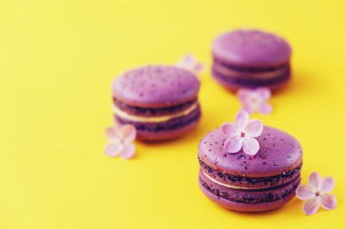 Macaron veya acıbadem kurabiyesi Fransız coockie beyaz dokulu arka plan bahar ile lila çiçekler, pastel renkler. 