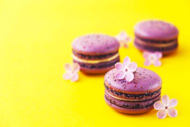Macaron veya acıbadem kurabiyesi Fransız coockie beyaz dokulu arka plan bahar ile lila çiçekler, pastel renkler. 