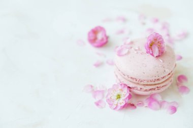Bademli kurabiye, Fransızca macaroons veya macaron bahar sakura çiçekleri ile farklı türleri. Renkli kurabiye. Gıda arka plan. Metin alanı.