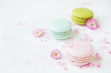 Macaron veya acıbadem kurabiyesi Fransız coockie beyaz dokulu arka plan bahar ile lila çiçekler, pastel renkler. 