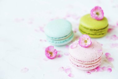 Macaron veya acıbadem kurabiyesi Fransız coockie beyaz dokulu arka plan bahar ile lila çiçekler, pastel renkler. 