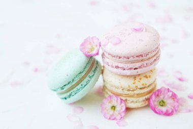 Macaron veya acıbadem kurabiyesi Fransız coockie beyaz dokulu arka plan bahar ile lila çiçekler, pastel renkler. 