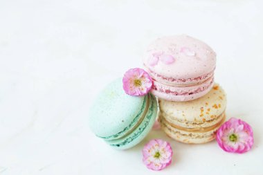 Macaron veya acıbadem kurabiyesi Fransız coockie beyaz dokulu arka plan bahar ile lila çiçekler, pastel renkler. 