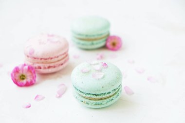 Macaron veya acıbadem kurabiyesi Fransız coockie beyaz dokulu arka plan bahar ile lila çiçekler, pastel renkler. 
