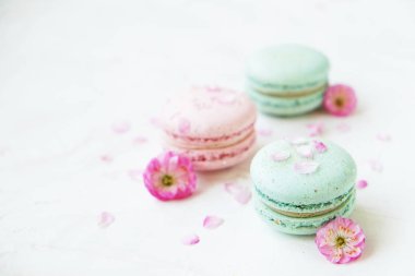 Macaron veya acıbadem kurabiyesi Fransız coockie beyaz dokulu arka plan bahar ile lila çiçekler, pastel renkler. 