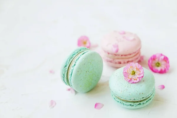 Macaron або Мигдальне печиво французький coockie на білому текстурованою фону з весни lila квіти, пастельних тонах. — стокове фото