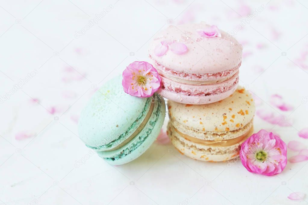 Macaron or macaroon french coockie on white textured background with spring lila flowers, pastel colors. 
