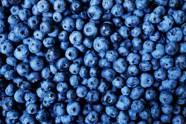 Close-up view of fresh blueberries isolated on white background.Top view of blueberry. — Stock Photo, Image