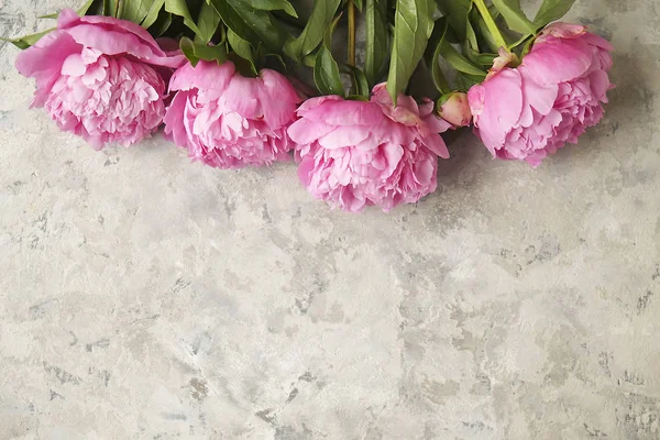 Komposition mit schönen Pfingstrosenblüten auf grau strukturiertem Hintergrund — Stockfoto