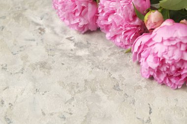 Gri dokulu arka plan güzel Şakayık çiçekleri ile kompozisyon