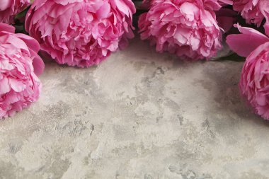 Gri dokulu arka plan güzel Şakayık çiçekleri ile kompozisyon