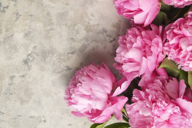 Gri dokulu arka plan güzel Şakayık çiçekleri ile kompozisyon