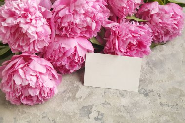 Gri dokulu arka plan güzel Şakayık çiçekleri ile kompozisyon