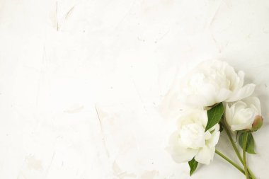 Dokulu zemin üzerinde beyaz peonies bitki kompozisyonu