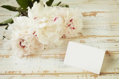 Şakayık yaprakları ve çiçekleri Beyaz ahşap çizilmiş eski yapay olarak arka plan üzerinde