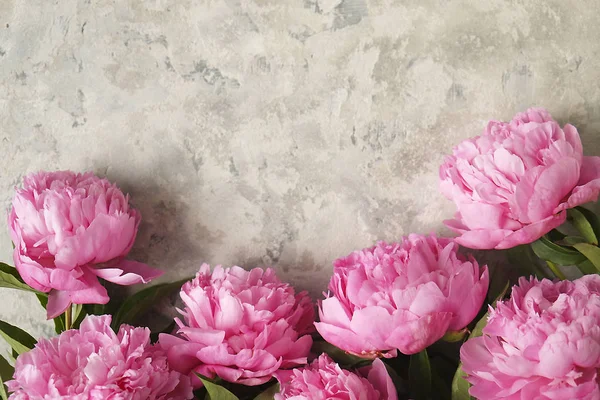 Composición con hermosas flores de peonía sobre fondo texturizado gris — Foto de Stock